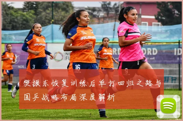 樊振东恢复训练后单打回归之路与国乒战略布局深度解析