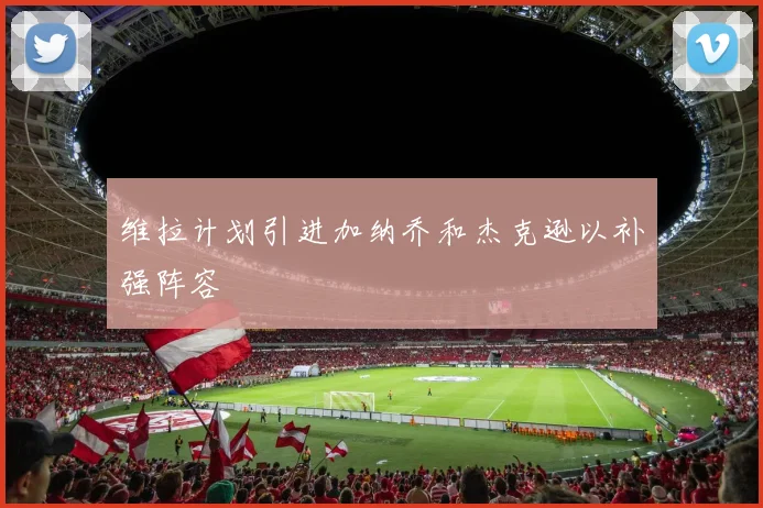 维拉计划引进加纳乔和杰克逊以补强阵容